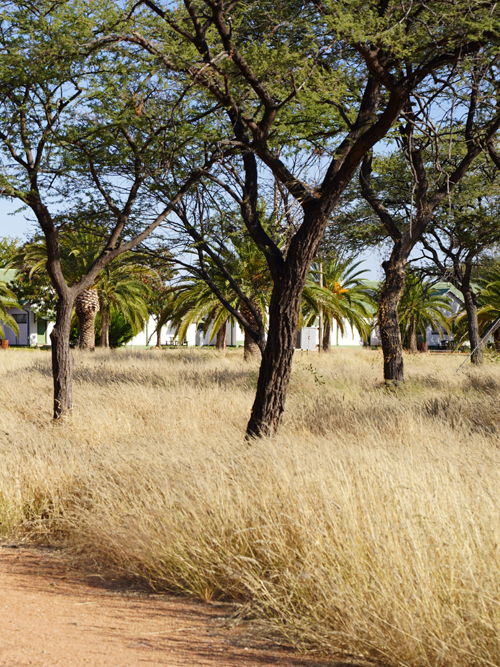 Otjikondo school grounds